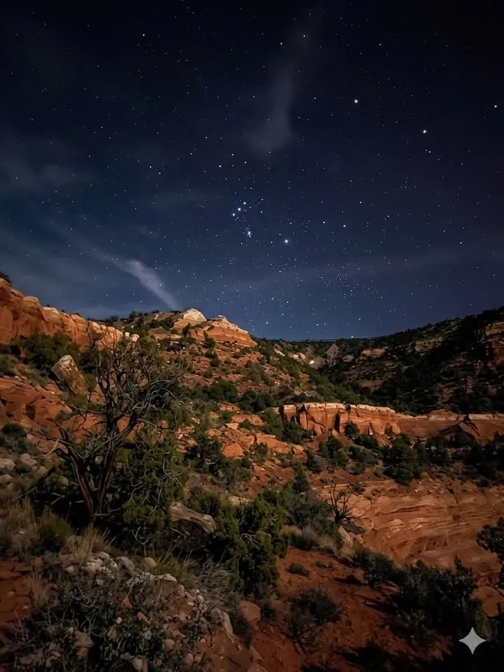 Park After Dark - Star Party