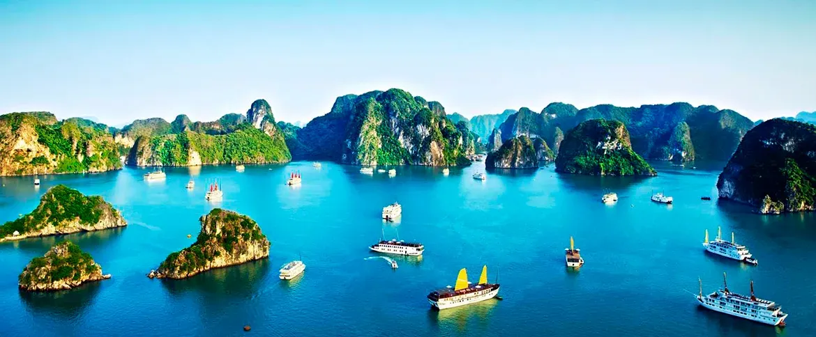 Discover Vietnam Culture and Tango Marathon 2026